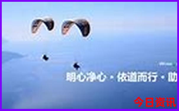 澳门摇钱树资料大全com